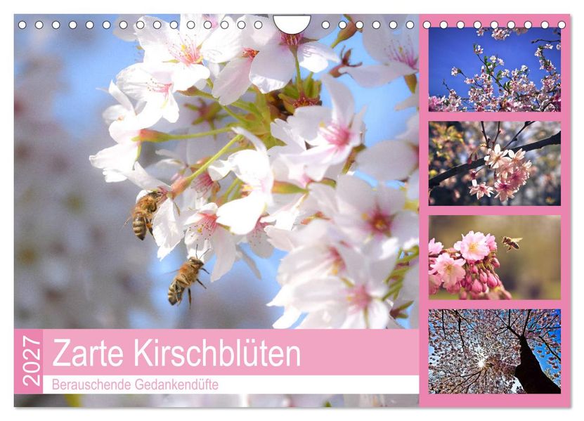 Zarte Kirschblüten - Berauschende Gedankendüfte (Wandkalender 2027 DIN A4 quer) CALVENDO Monatskalender