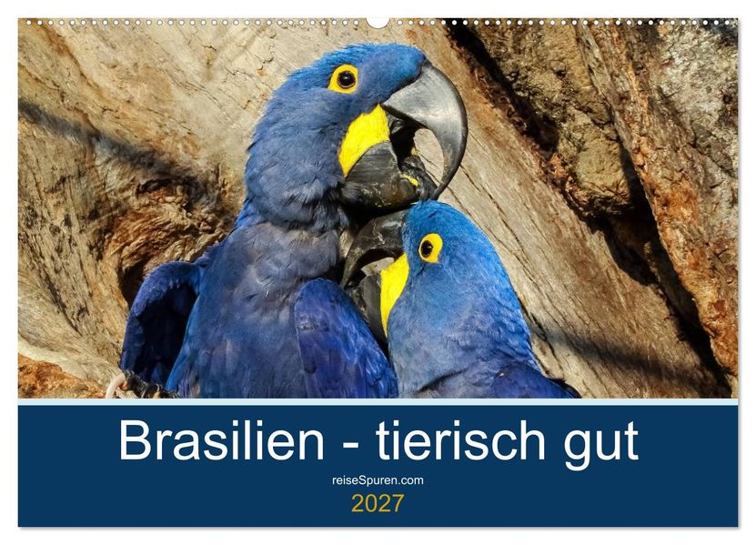Brasilien tierisch gut 2027 (Wandkalender 2027 DIN A2 quer) CALVENDO Monatskalender