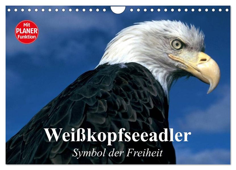 Weißkopfseeadler. Symbol der Freiheit (Wandkalender 2027 DIN A4 quer) CALVENDO Monatskalender