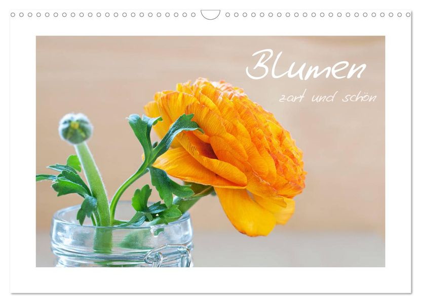 Blumen zart und schön (Wandkalender 2027 DIN A3 quer) CALVENDO Monatskalender