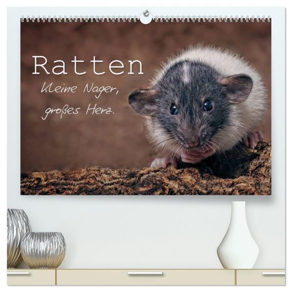 Ratten. Kleine Nager großes Herz. (hochwertiger Premium Wandkalender 2027 DIN A2 quer) Kunstdruck in Hochglanz