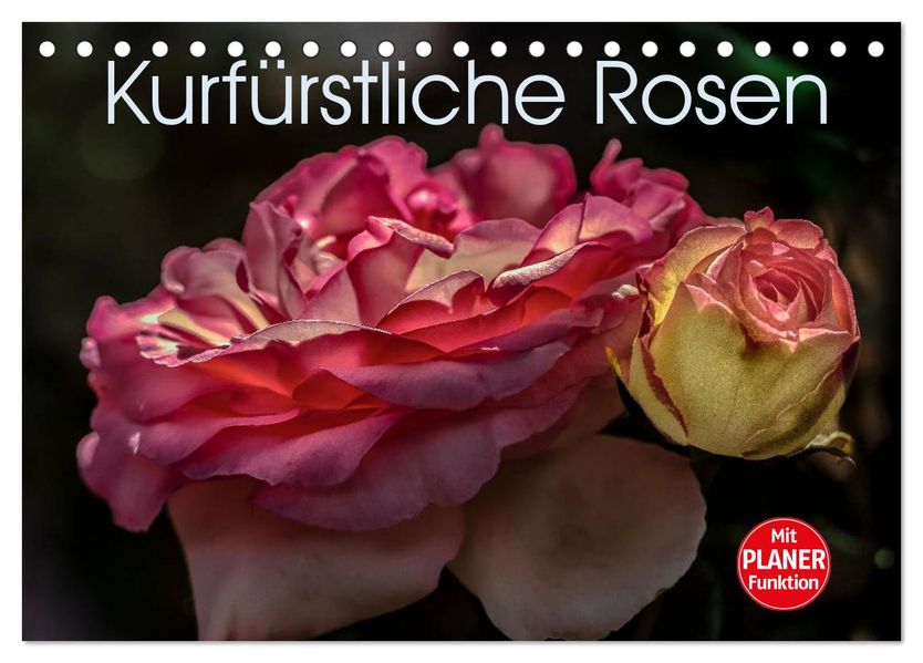 Kurfürstliche Rosen Eltville am Rhein (Tischkalender 2027 DIN A5 quer) CALVENDO Monatskalender