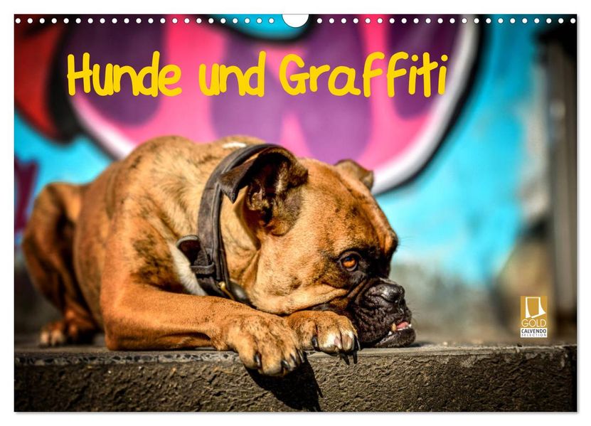 Hunde und Graffiti (Wandkalender 2027 DIN A3 quer) CALVENDO Monatskalender