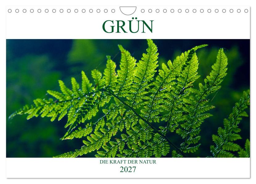 GRÜN. Die Kraft der Natur (Wandkalender 2027 DIN A4 quer) CALVENDO Monatskalender