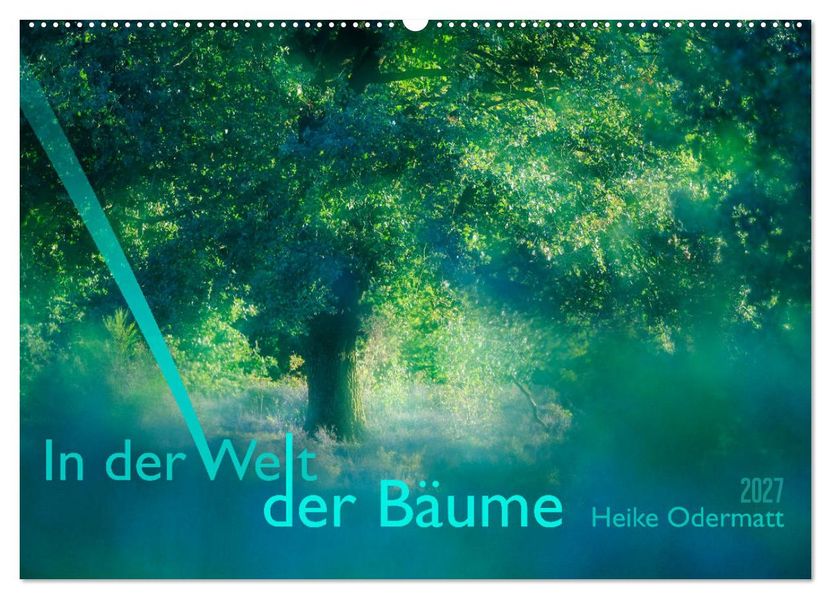 In der Welt der Bäume (Wandkalender 2027 DIN A2 quer) CALVENDO Monatskalender