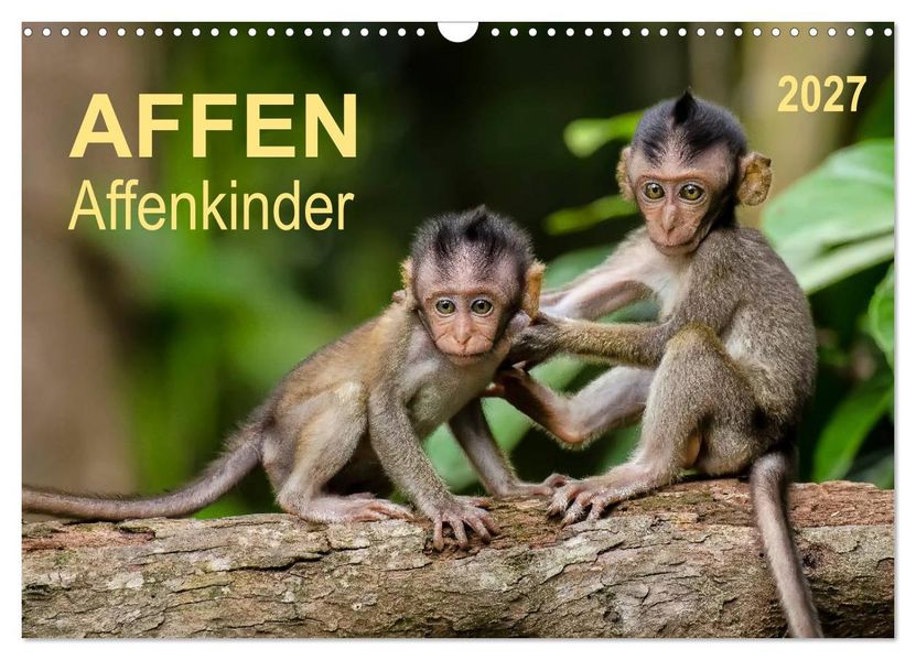Affen - Affenkinder (Wandkalender 2027 DIN A3 quer) CALVENDO Monatskalender
