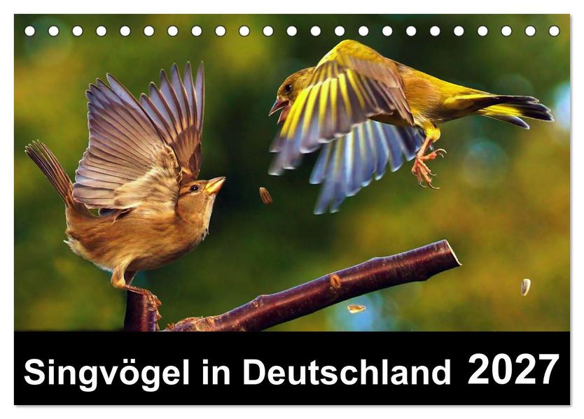 Singvögel in Deutschland (Tischkalender 2027 DIN A5 quer) CALVENDO Monatskalender