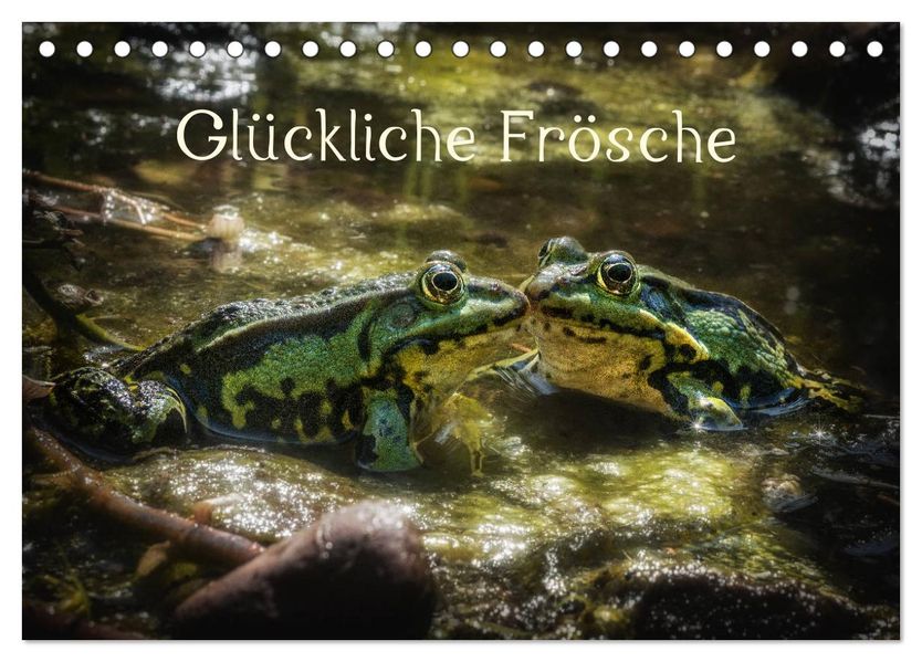 Glückliche Frösche (Tischkalender 2027 DIN A5 quer) CALVENDO Monatskalender