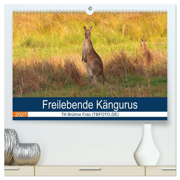 Freilebende Kängurus (hochwertiger Premium Wandkalender 2027 DIN A2 quer) Kunstdruck in Hochglanz