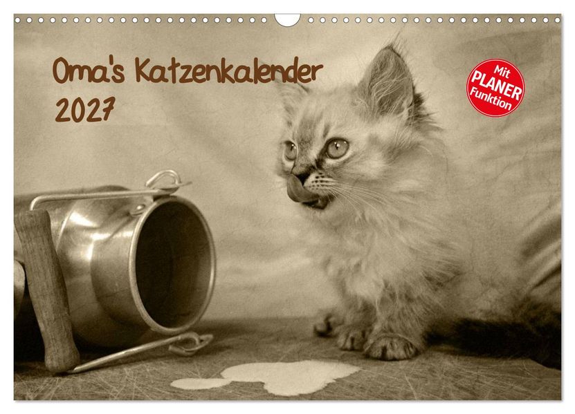 Oma's Katzenkalender 2027 (Wandkalender 2027 DIN A3 quer) CALVENDO Monatskalender