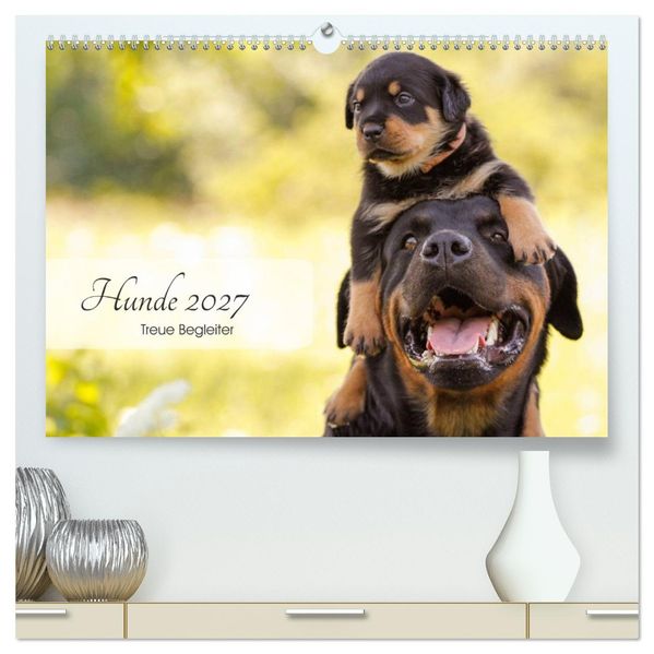 Hunde 2027 - Treue Begleiter (hochwertiger Premium Wandkalender 2027 DIN A2 quer) Kunstdruck in Hochglanz
