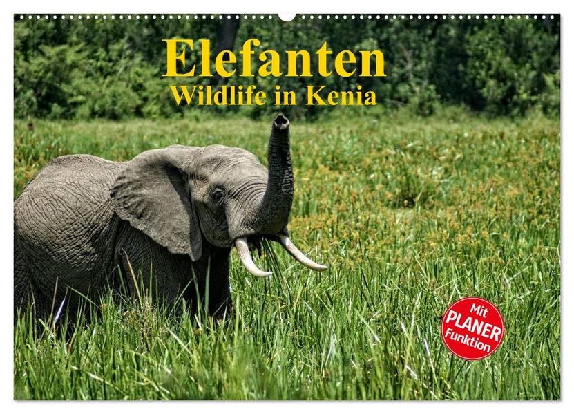 Elefanten. Wildlife in Kenia (Wandkalender 2027 DIN A2 quer) CALVENDO Monatskalender