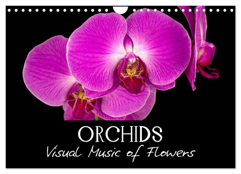 Orchids (Wall Calendar 2027 DIN A4 landscape) CALVENDO 12 Month Wall Calendar