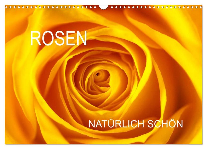 Rosen natürlich schön (Wandkalender 2027 DIN A3 quer) CALVENDO Monatskalender