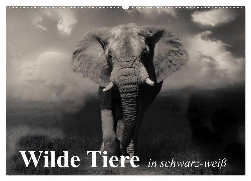 Wilde Tiere in schwarz-weiß (Wandkalender 2027 DIN A2 quer) CALVENDO Monatskalender