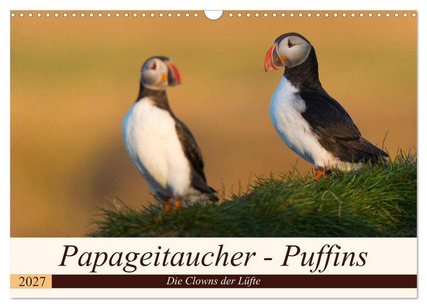 Papageitaucher - Puffins (Wandkalender 2027 DIN A3 quer) CALVENDO Monatskalender