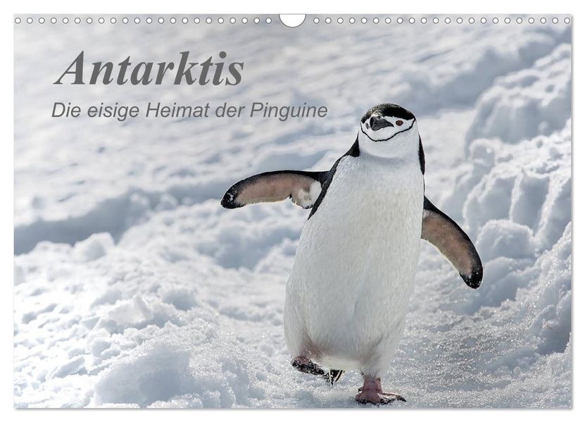 Antarktis die eisige Heimat der Pinguine (Wandkalender 2027 DIN A3 quer) CALVENDO Monatskalender