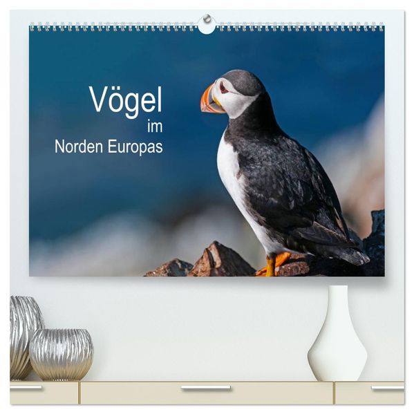 Vögel im Norden Europas (hochwertiger Premium Wandkalender 2027 DIN A2 quer) Kunstdruck in Hochglanz