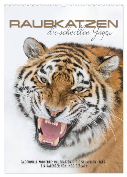 Emotionale Momente: Raubkatzen - die schnellen Jäger. (Wandkalender 2027 DIN A2 hoch) CALVENDO Monatskalender