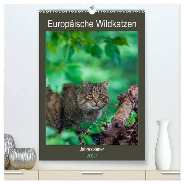 Europäische Wildkatzen - Jahresplaner (hochwertiger Premium Wandkalender 2027 DIN A2 hoch) Kunstdruck in Hochglanz