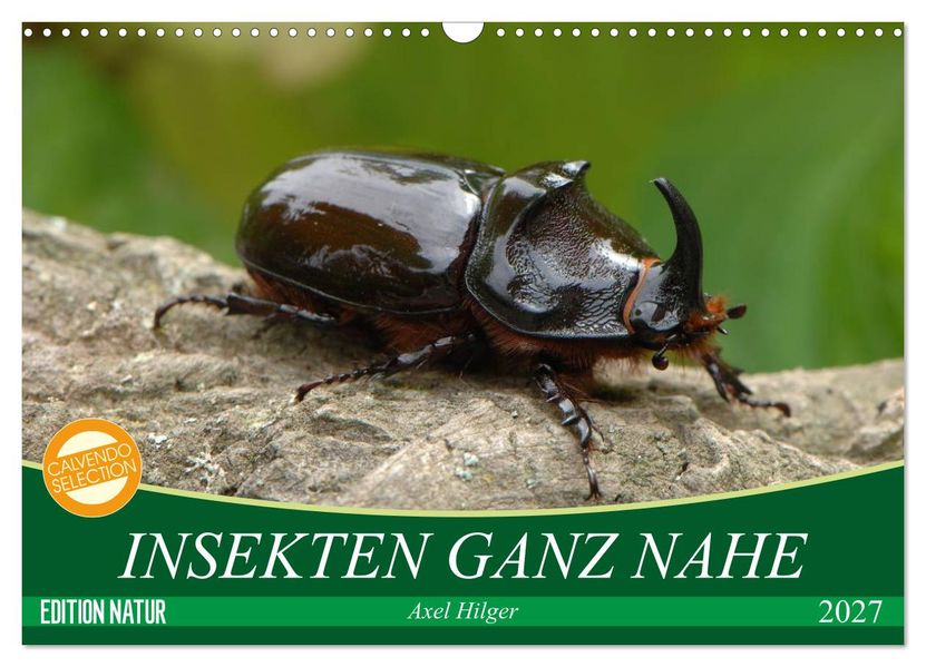 INSEKTEN GANZ NAHE (Wandkalender 2027 DIN A3 quer) CALVENDO Monatskalender