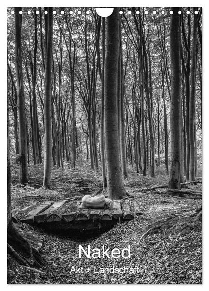 Naked: Akt + Landschaft (Wandkalender 2027 DIN A4 hoch) CALVENDO Monatskalender