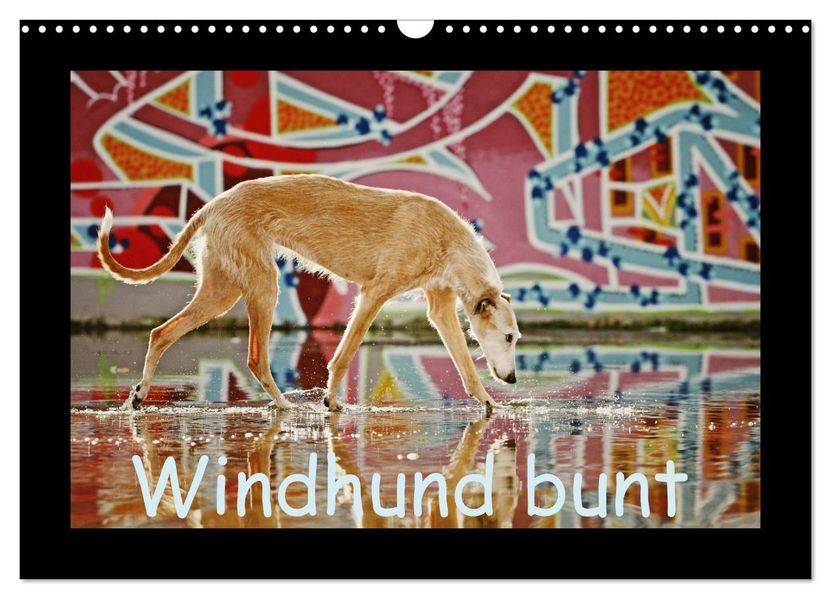 Windhund bunt (Wandkalender 2027 DIN A3 quer) CALVENDO Monatskalender