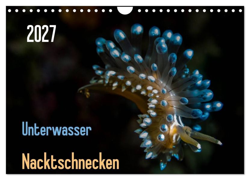 Unterwasser - Nacktschnecken 2027 (Wandkalender 2027 DIN A4 quer) CALVENDO Monatskalender