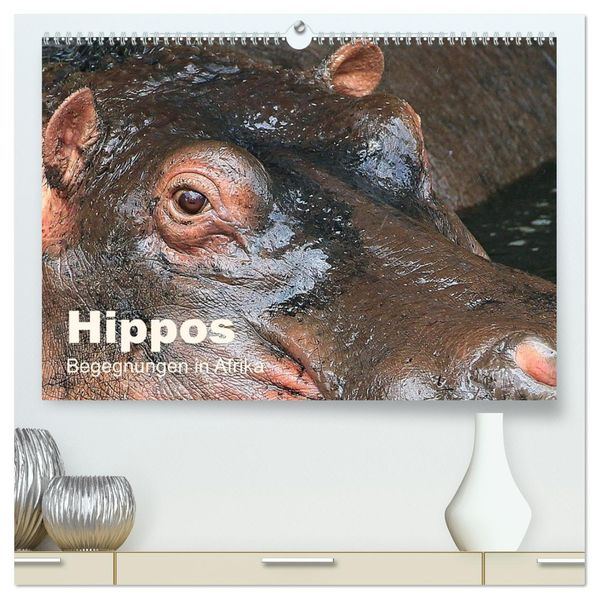 Hippos - Begegnungen in Afrika (hochwertiger Premium Wandkalender 2027 DIN A2 quer) Kunstdruck in Hochglanz