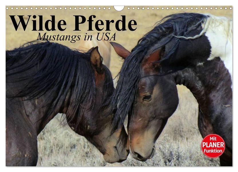 Wilde Pferde. Mustangs in USA (Wandkalender 2027 DIN A3 quer) CALVENDO Monatskalender