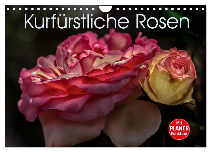 Kurfürstliche Rosen Eltville am Rhein (Wandkalender 2027 DIN A4 quer) CALVENDO Monatskalender
