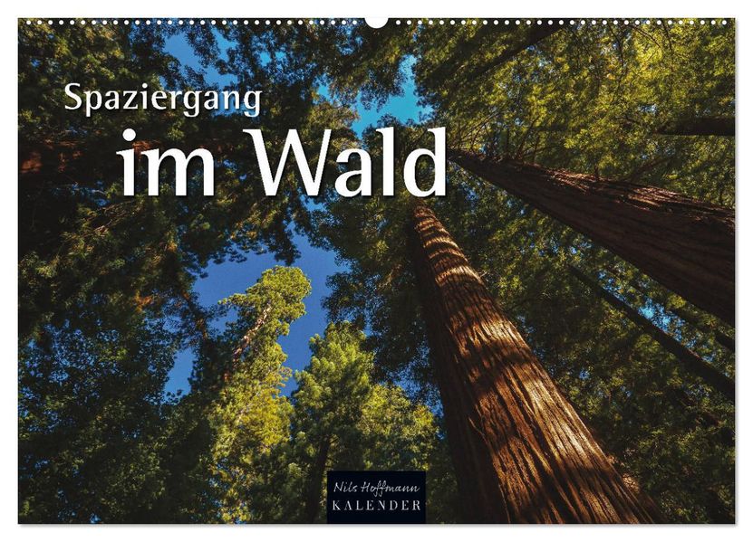 Spaziergang im Wald (Wandkalender 2027 DIN A2 quer) CALVENDO Monatskalender