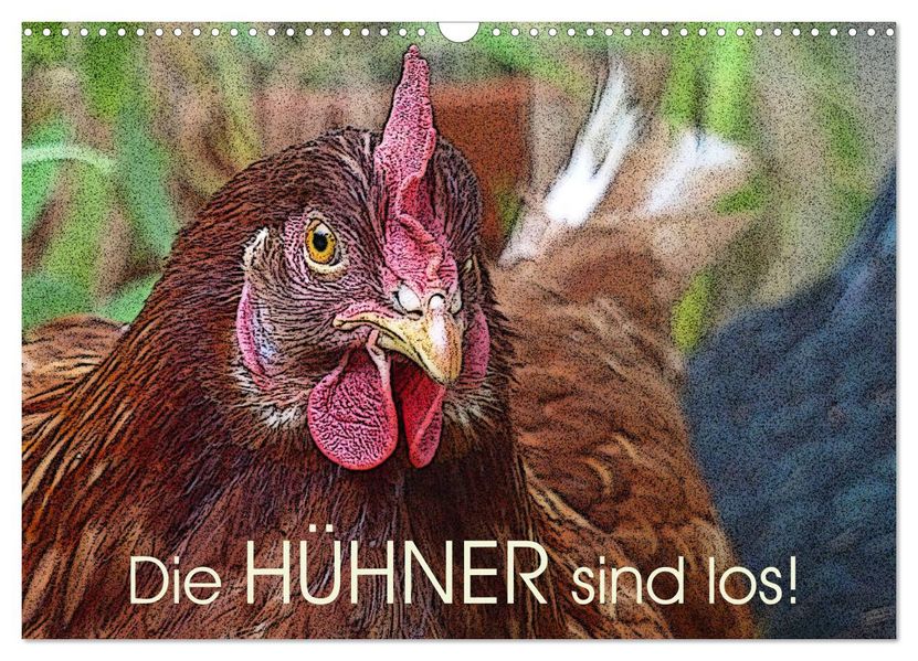 Die Hühner sind los! (Wandkalender 2027 DIN A3 quer) CALVENDO Monatskalender