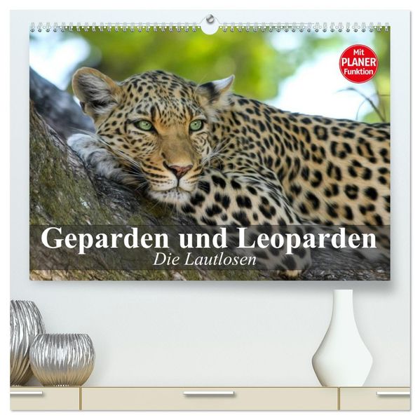 Die Lautlosen. Geparden und Leoparden (hochwertiger Premium Wandkalender 2027 DIN A2 quer) Kunstdruck in Hochglanz