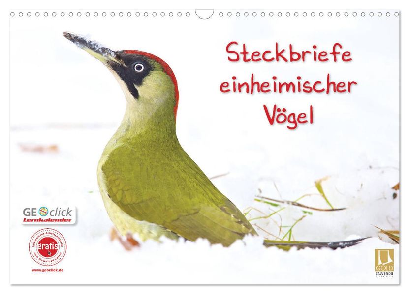 Steckbriefe einheimischer Vögel (Wandkalender 2027 DIN A3 quer) CALVENDO Monatskalender