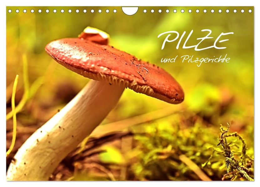 Pilze und Pilzgerichte (Wandkalender 2027 DIN A4 quer) CALVENDO Monatskalender