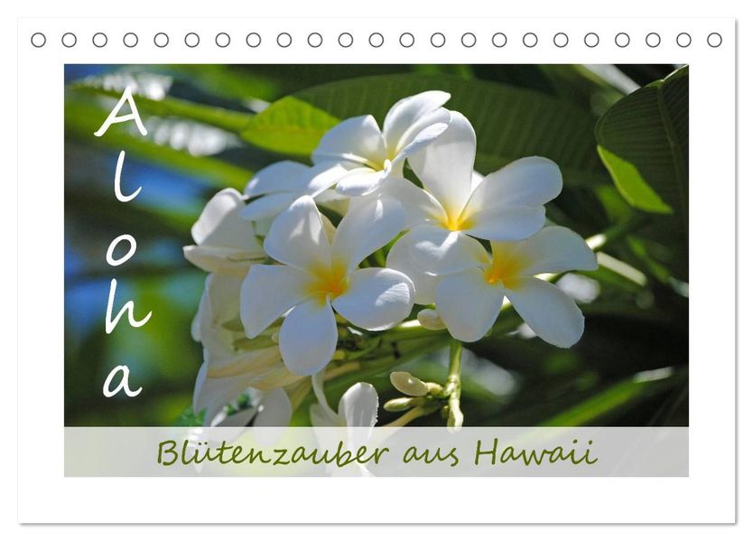 Aloha Blütenzauber aus Hawaii (Tischkalender 2027 DIN A5 quer) CALVENDO Monatskalender