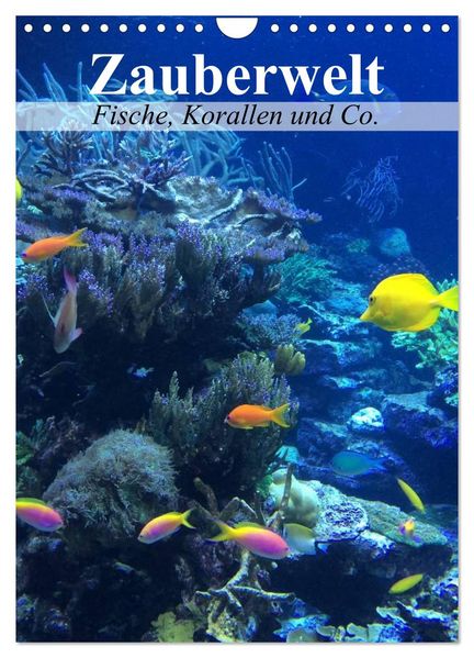 Zauberwelt. Fische Korallen und Co. (Wandkalender 2027 DIN A4 hoch) CALVENDO Monatskalender