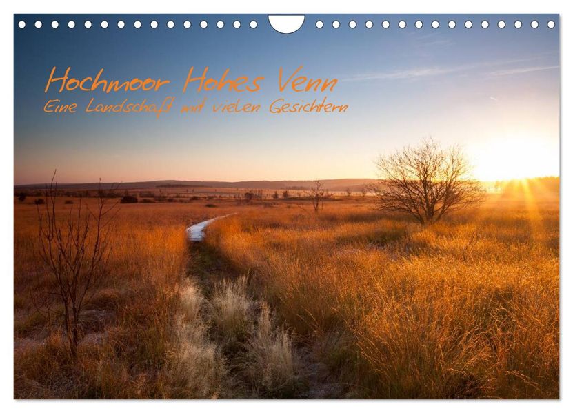 Hochmoor Hohes Venn (Wandkalender 2027 DIN A4 quer) CALVENDO Monatskalender