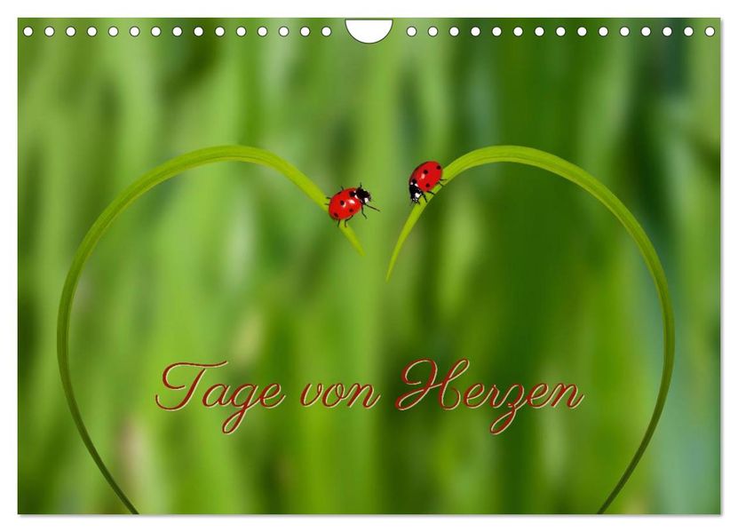 Tage von Herzen (Wandkalender 2027 DIN A4 quer) CALVENDO Monatskalender