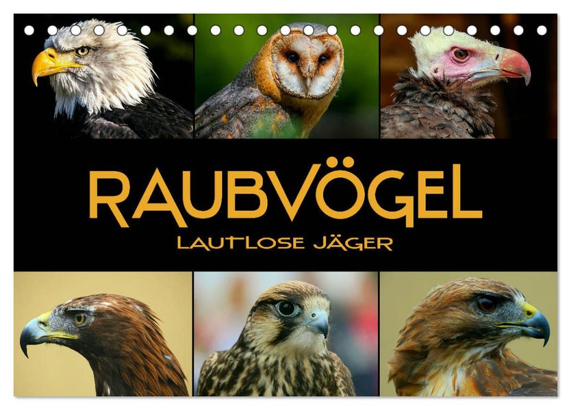 Raubvögel - lautlose Jäger (Tischkalender 2027 DIN A5 quer) CALVENDO Monatskalender