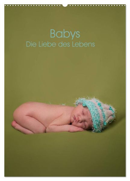 Babys - Die Liebe des Lebens (Wandkalender 2027 DIN A2 hoch) CALVENDO Monatskalender