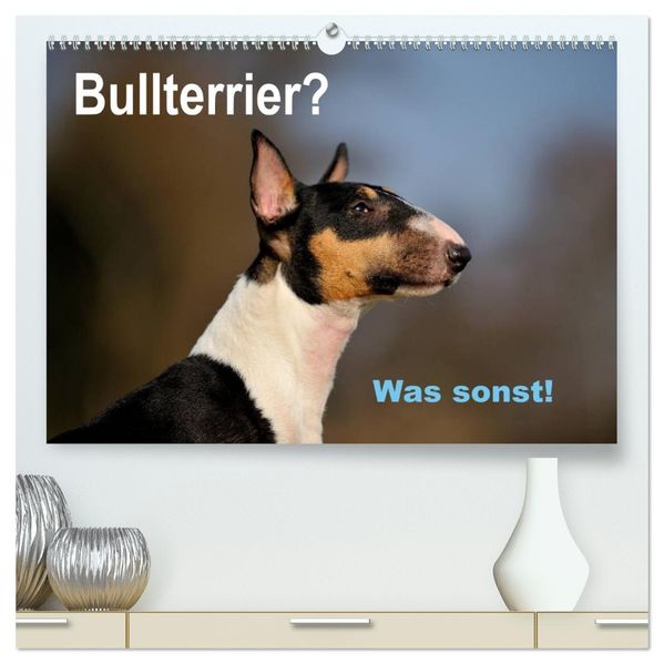 Bullterrier? Was sonst! (hochwertiger Premium Wandkalender 2027 DIN A2 quer) Kunstdruck in Hochglanz