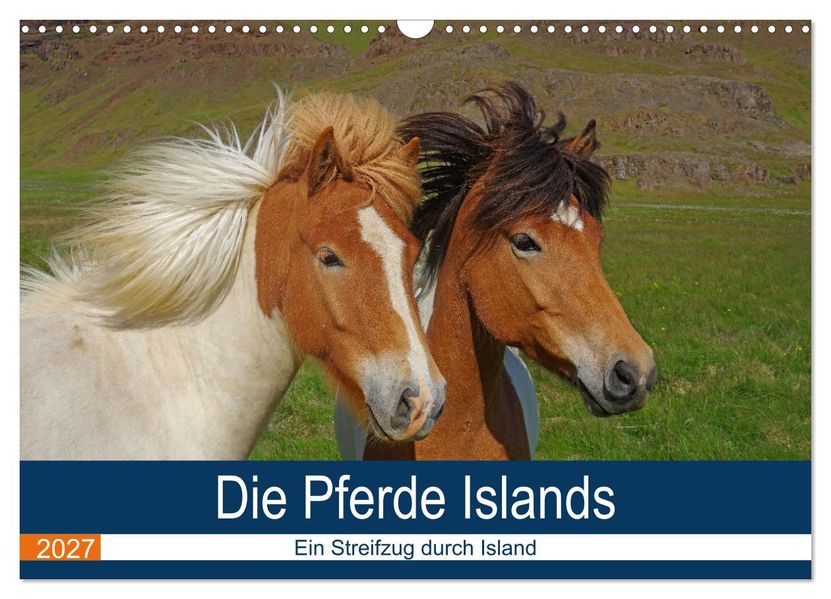 Die Pferde Islands - Ein Streifzug durch Island (Wandkalender 2027 DIN A3 quer) CALVENDO Monatskalender