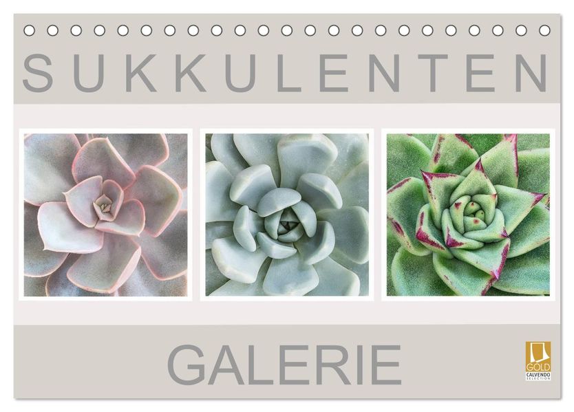 Sukkulenten Galerie (Tischkalender 2027 DIN A5 quer) CALVENDO Monatskalender