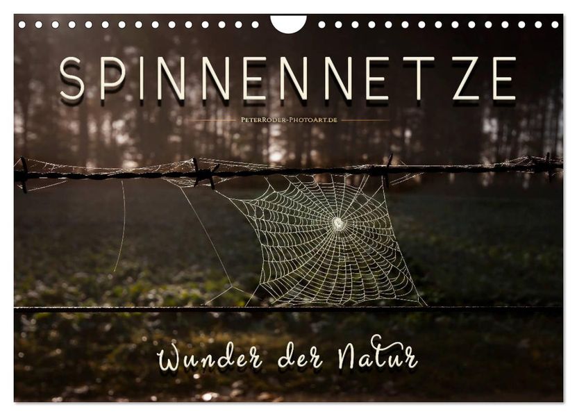 Spinnennetze - Wunder der Natur (Wandkalender 2027 DIN A4 quer) CALVENDO Monatskalender
