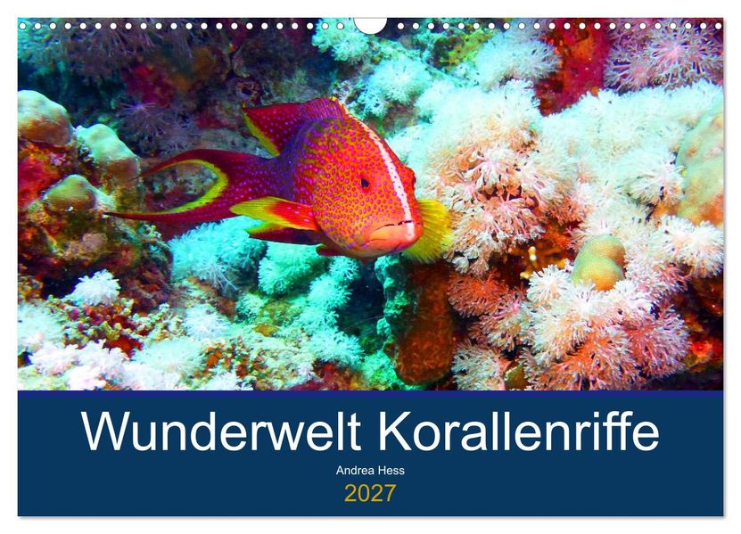 Wunderwelt Korallenriffe (Wandkalender 2027 DIN A3 quer) CALVENDO Monatskalender