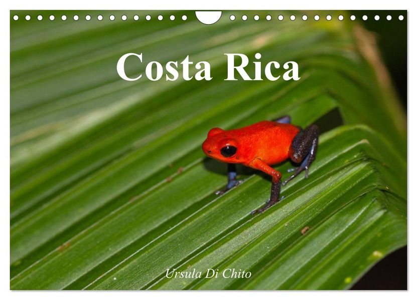 Costa Rica (Wandkalender 2027 DIN A4 quer) CALVENDO Monatskalender