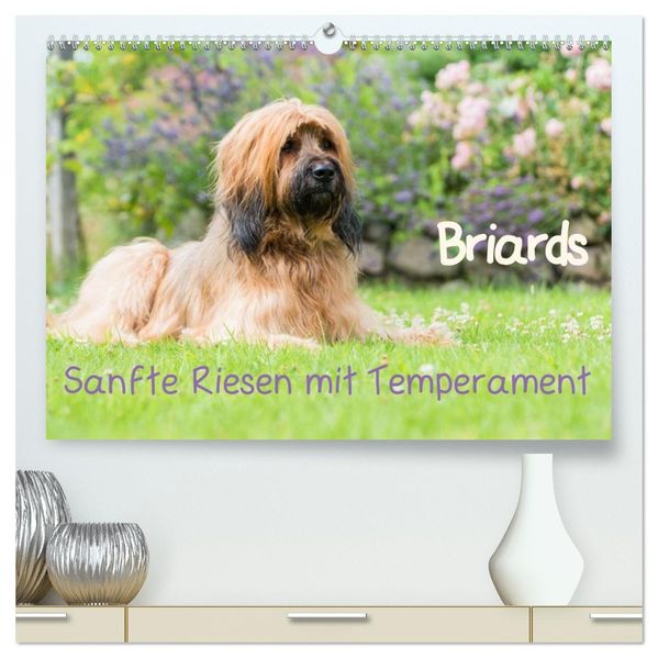 Briards - sanfte Riesen mit Temperament (hochwertiger Premium Wandkalender 2027 DIN A2 quer) Kunstdruck in Hochglanz