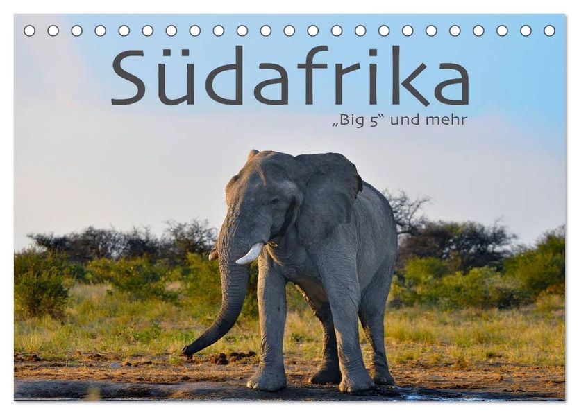 Südafrika - Big 5 und mehr (Tischkalender 2027 DIN A5 quer) CALVENDO Monatskalender